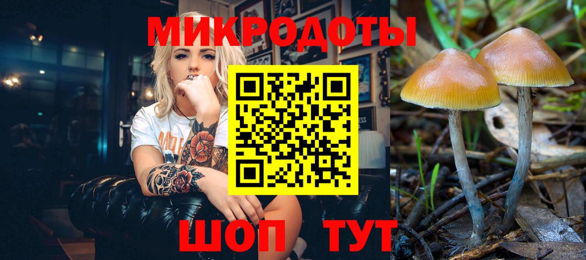 Псилоцибиновые грибы Cubensis  Вход с VPN  Добрянка  Псилоцибиновые грибы GOLDEN TEACHER 